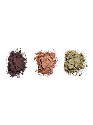 Revolution - Reloaded Palette Iconic Division - Image 4